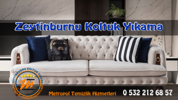 zeytinburnu-koltuk-yikama