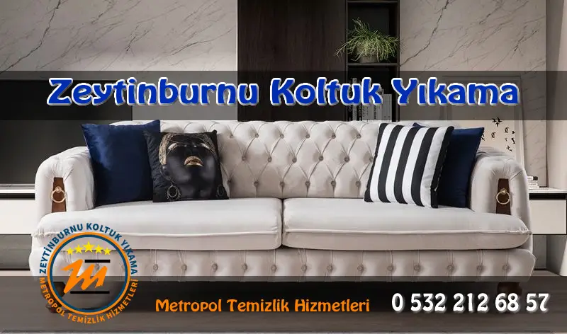 zeytinburnu-koltuk-yikama